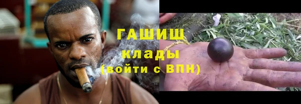гидропоника Алзамай