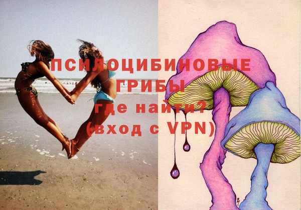 герыч Алексин