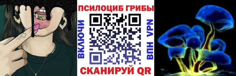 Галлюциногенные грибы Psilocybe  цены наркотик  Соликамск 